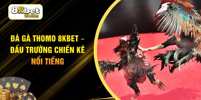 Đá Gà Thomo 8KBET – Đấu Trường Chiến Kê Nổi Tiếng