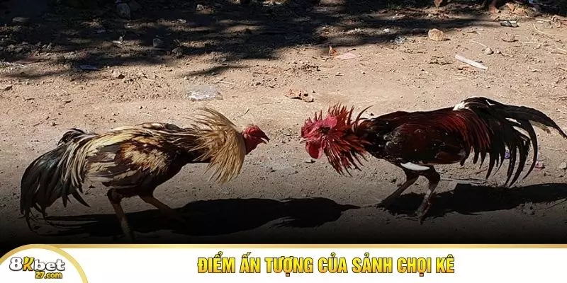 Điểm ấn tượng của sảnh chọi kê